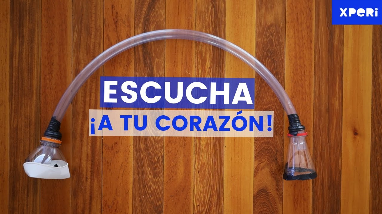 Estetoscopio casero