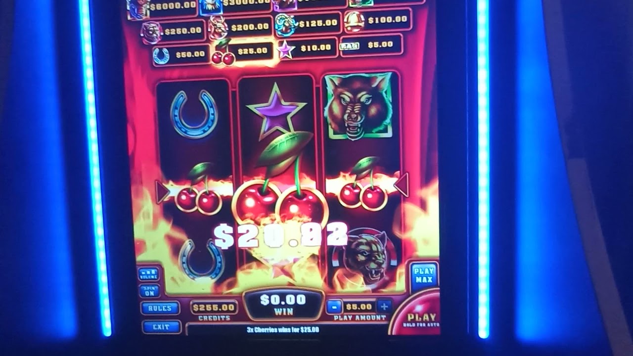 red hot buffalo 500$$ play