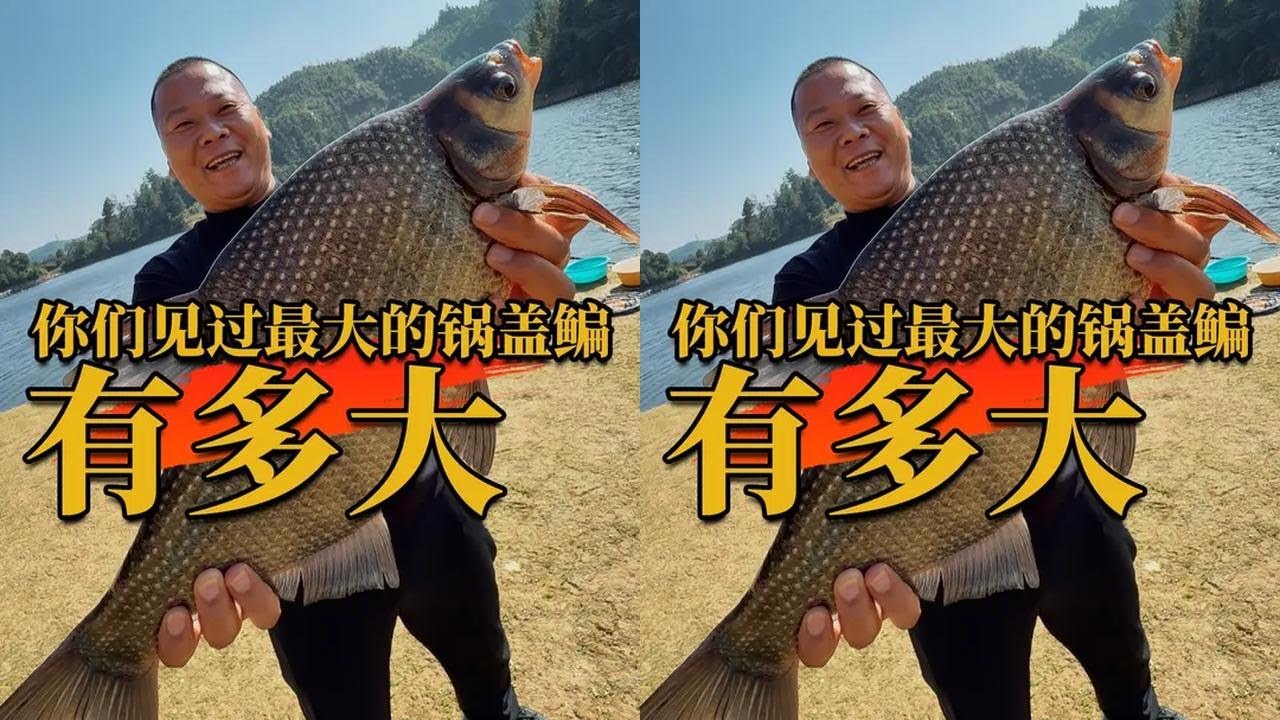 你们见过最大的锅盖鳊有多大 #百大运动玩咖挑战赛 #2024dou来钓鱼 #双十一的快乐是运动给的 #原来钓鱼才是抖音运动顶流