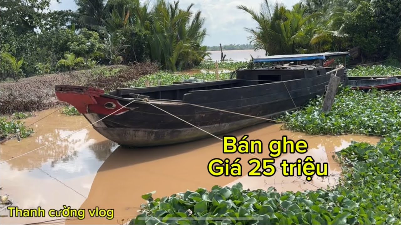 Bán ghe 14 Tấn giá 25 triệu còn thương lượng.lh0981870072