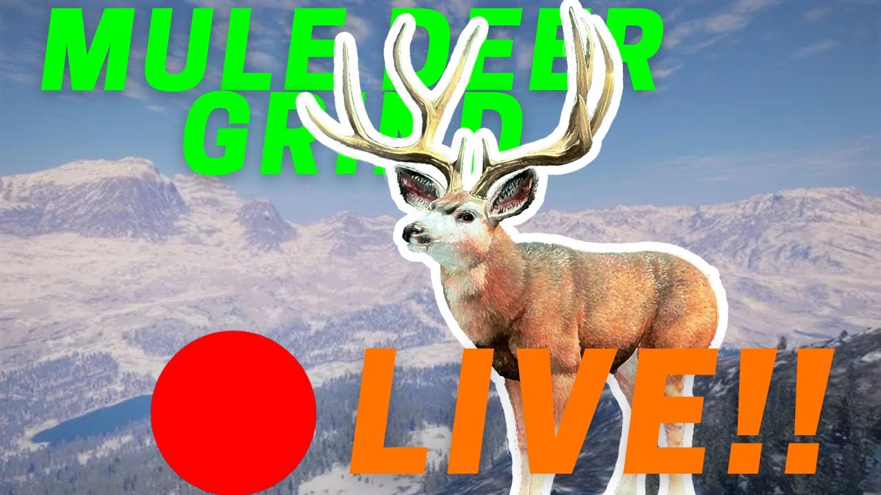 Mule deer grind cotw