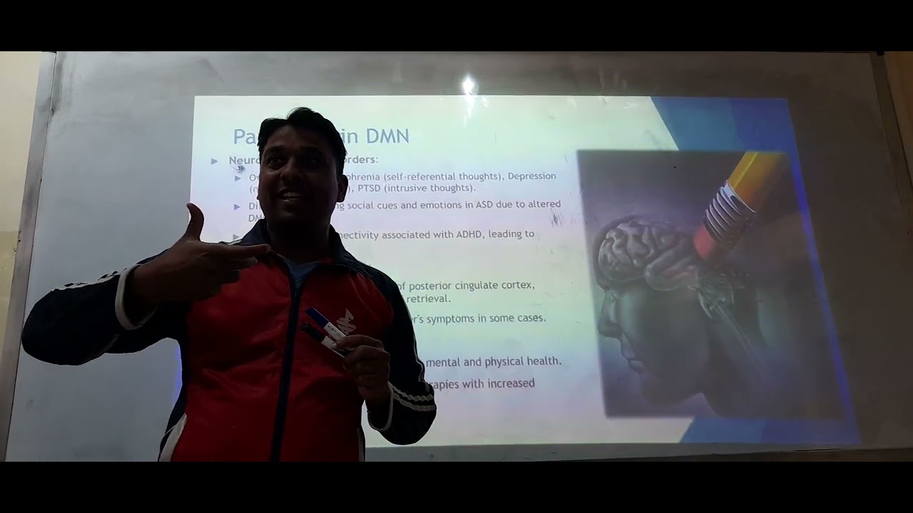 Default Mode Network | Large Brain Networks Part-2