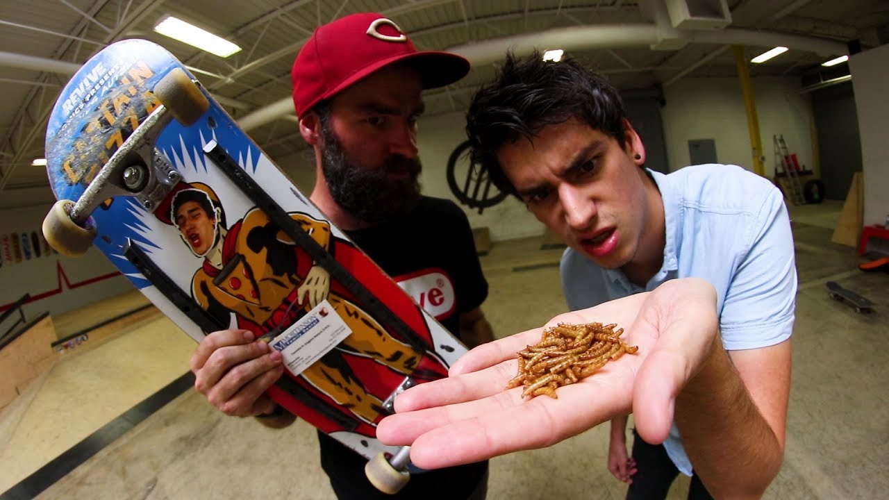 EATING BUGS GAME OF S.K.A.T.E.!