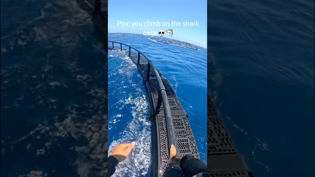 One mistake with the kite can be&hellip; 💀🤯