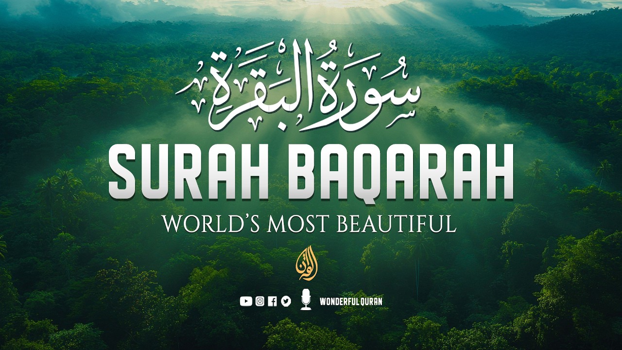 Surah Al-Baqarah Full (سورة البقرة) | Ultimate Tranquil & Heart-Touching Quran Tilawat #baqarah