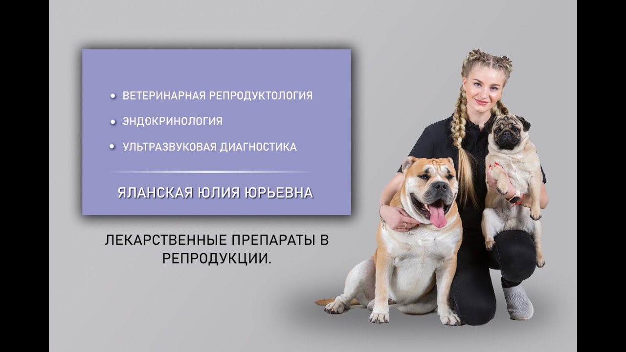 Лекарственные препараты в репродукции домашних животных. Лектор Яланская Юлия Юрьевна.