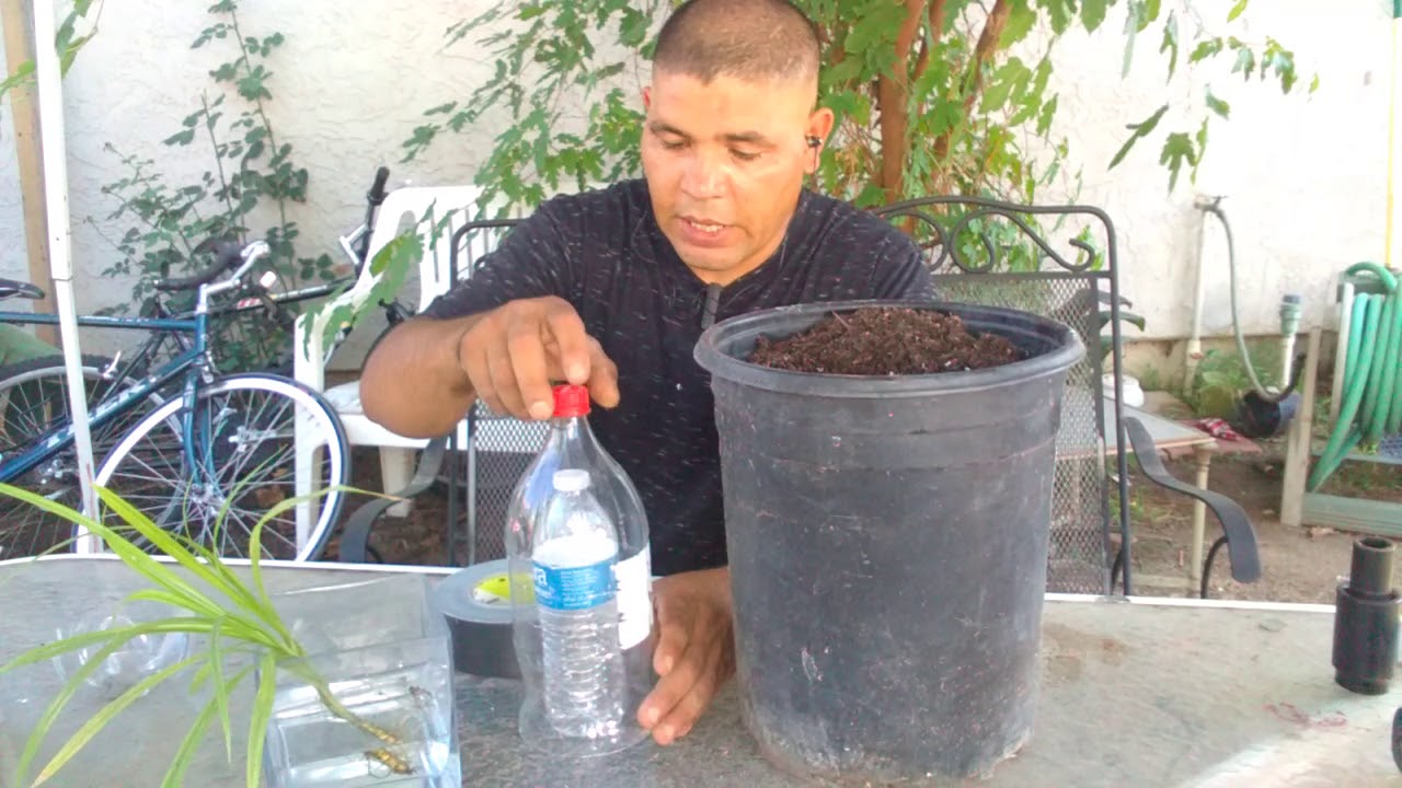 Riego solar ahorra mucha agua por todo un año