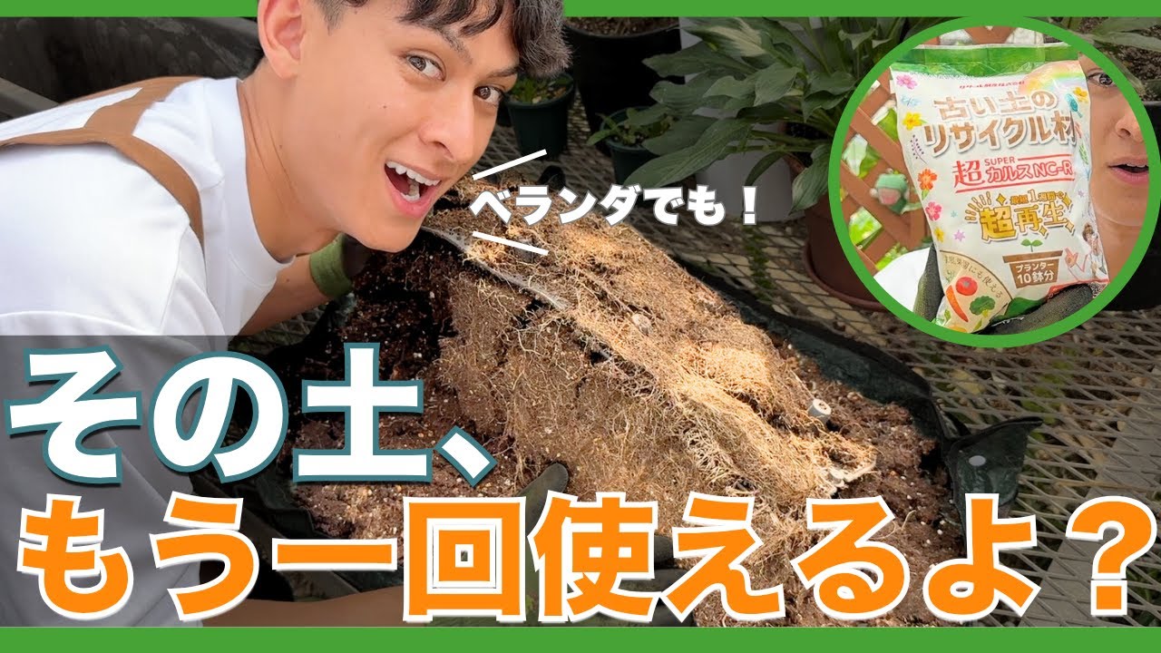 【古い土、まだ使える！？】ふかふかに戻す再利用テクとNG例｜家庭菜園の土リセット術