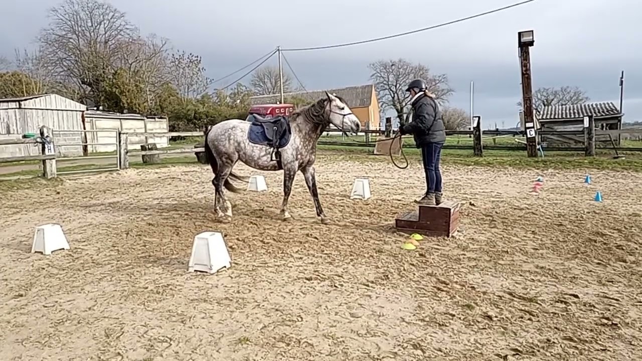 Equifeel virtuel Caval Go 2026 montée 2 manche 1 June d'Ouilly et Karine Boscher 