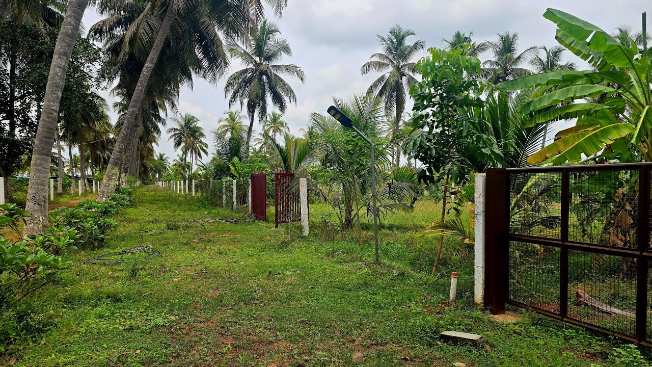 NO: 268 Fantastic Farmland 1Acre (100 Cent) Red Soil Rectangle shape 30km Mamallapuram Ct:9626716274