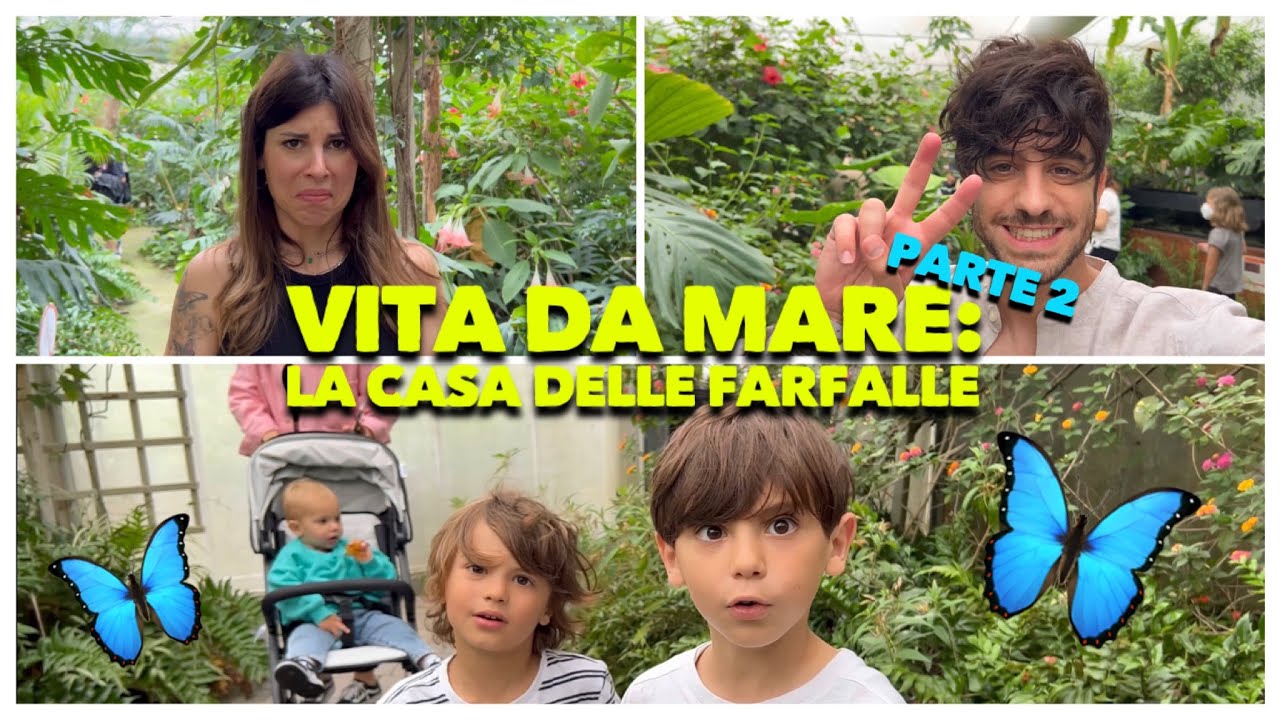 VITA DA MARE (parte 2): LA CASA DELLE FARFALLE 🦋