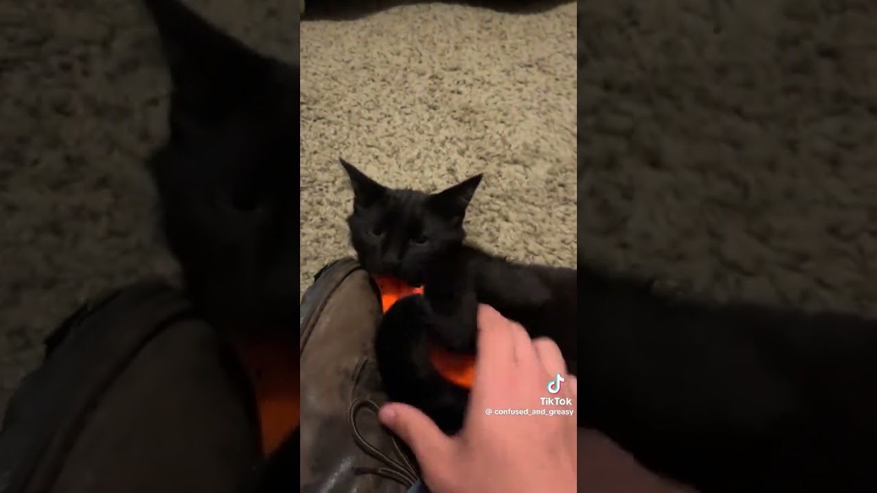 go commit crimes #tiktok