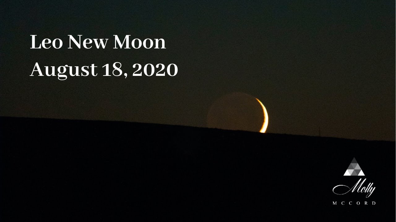 August 18 Leo New Moon ♌ A Force of Higher Love, Soul Power, and Creation 🦁