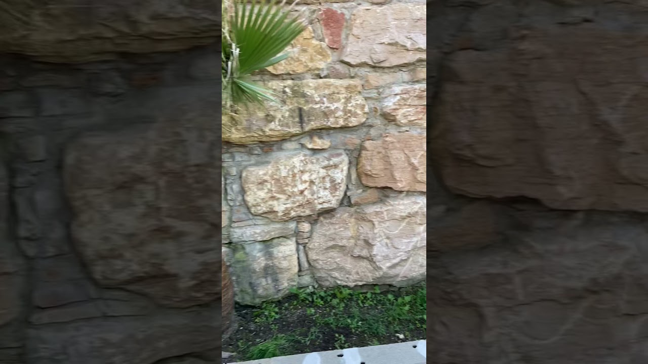 Installation sonorisation ext&eacute;rieur par SonoEvolution