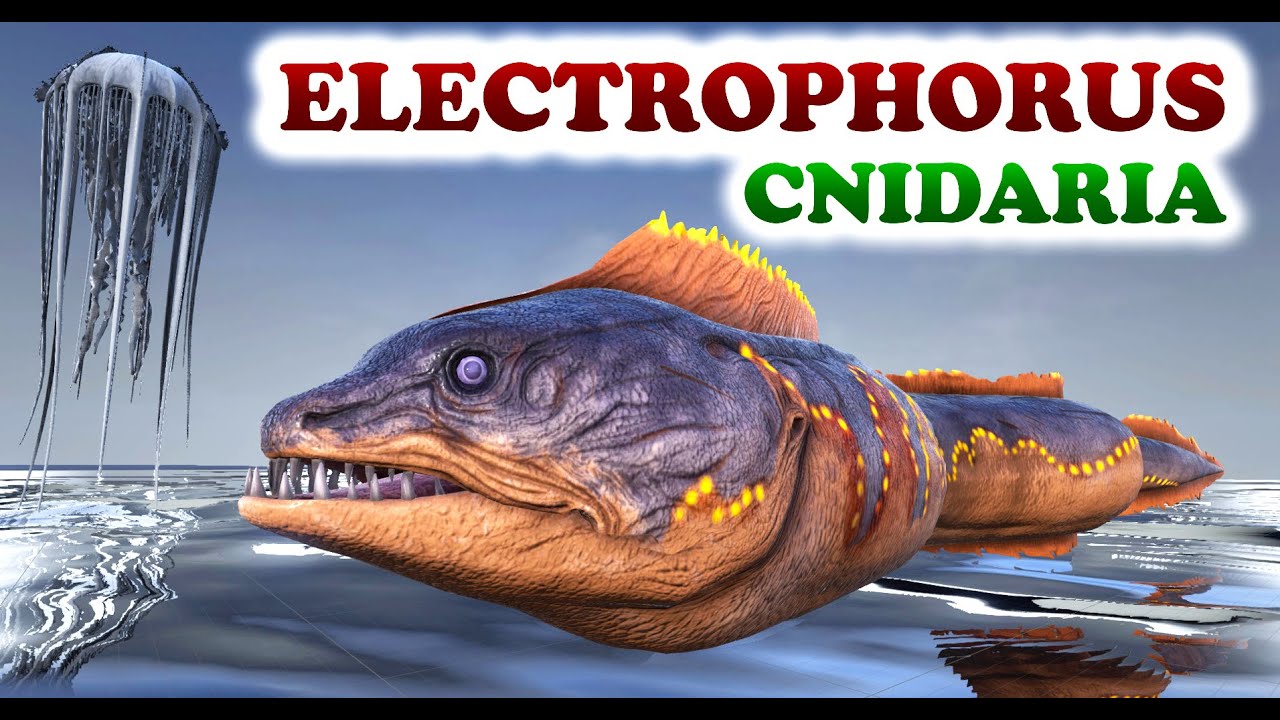ARK Dev Kit | ELECTROPHORUS and CNIDARIA
