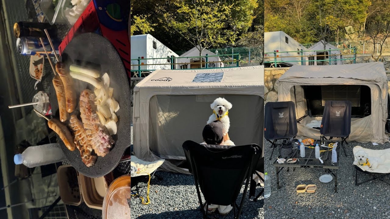 순창 애견동반캠핑🏕️ㅣ쿠디웨이브 에어텐트 첫 개시, 가을캠핑