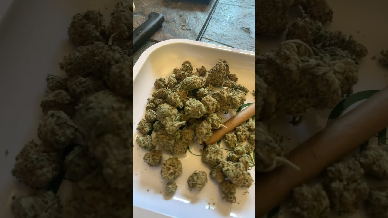 High Hemp