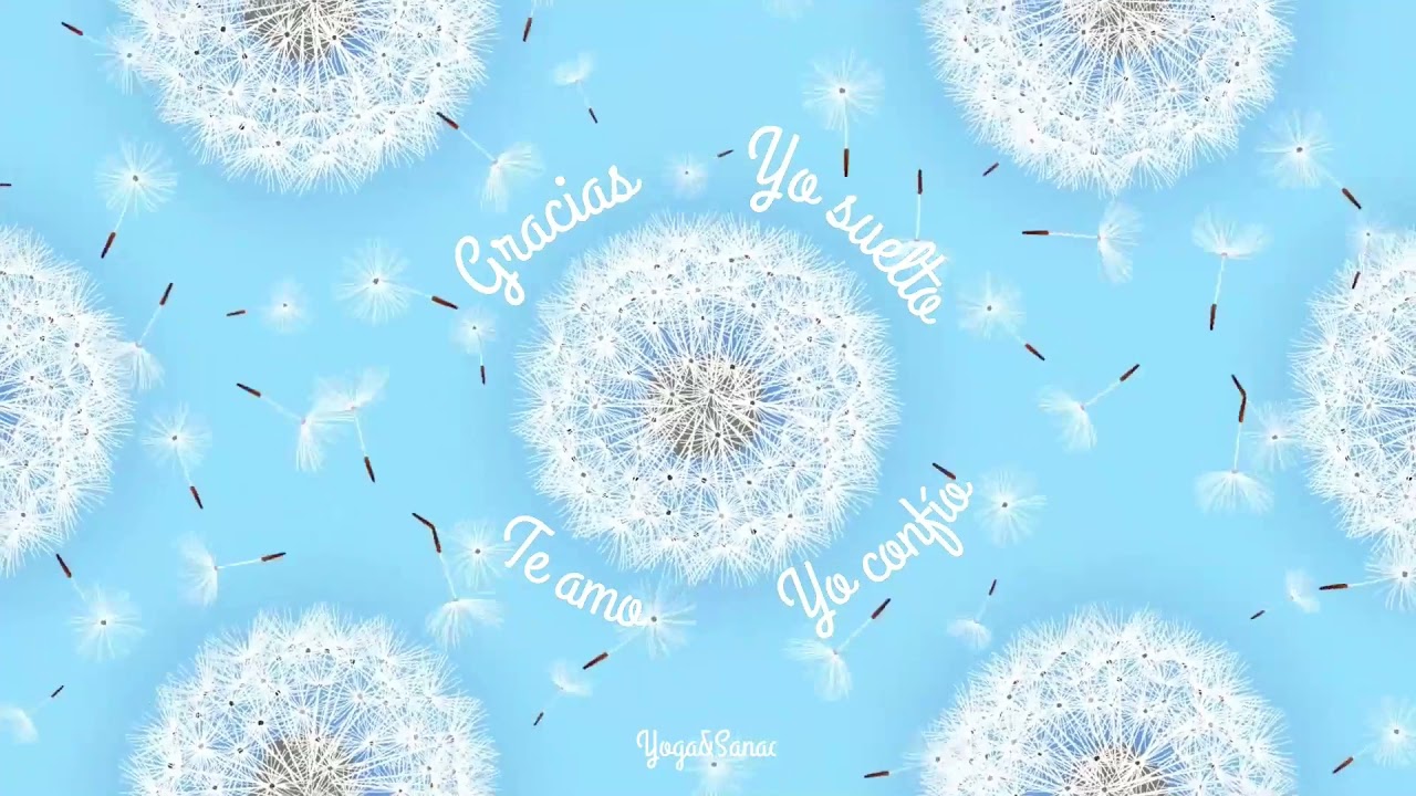 108 REPETICIONES MANTRA YO SUELTO, YO CONFIO GRACIAS ,TE AMO, HO'OPONOPONO
