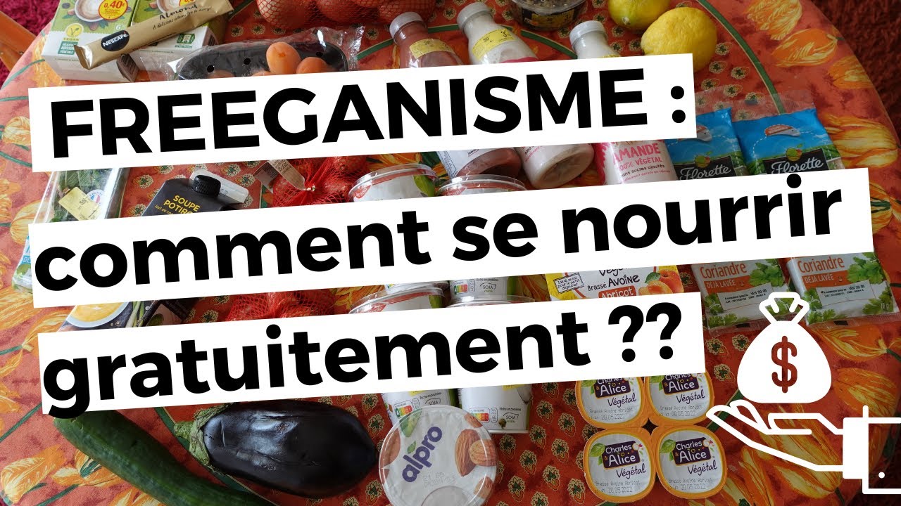 Comment manger gratuitement ? Budget courses 0€ | Freeganisme & Glanage
