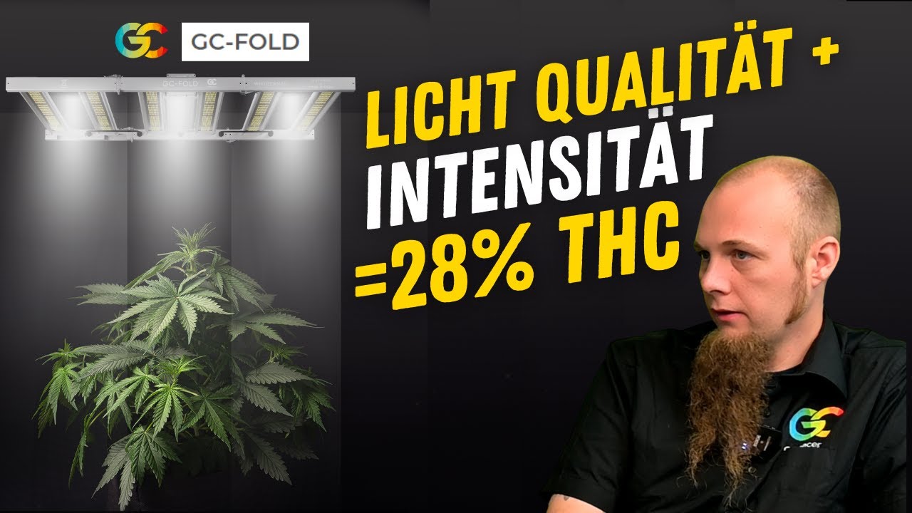 Greenception Fold - Projektlicht für Experten mehr THC durch Beleuchtungsstrategien und Infrarot