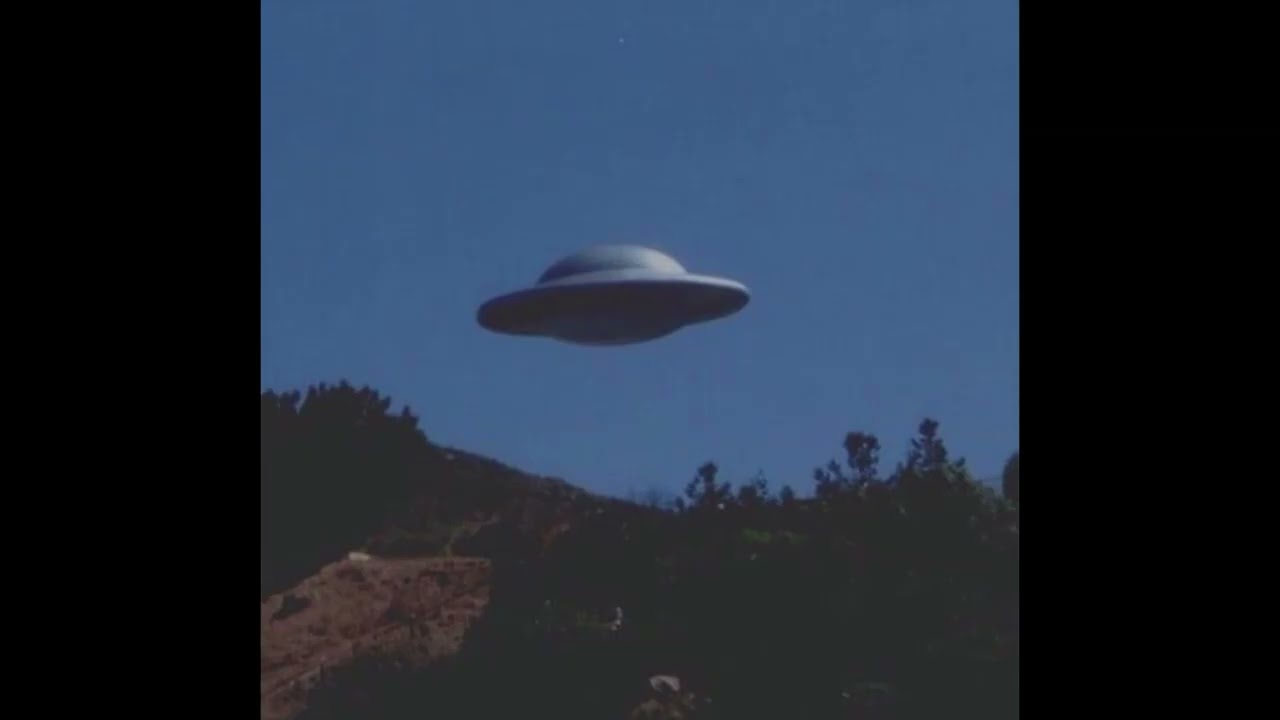 [10+] FREE LOOP KIT / SAMPLE PACK - 