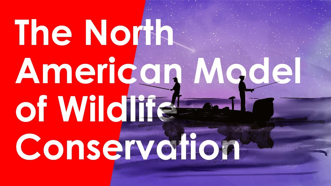 The North American Model of Wildlife Conservation