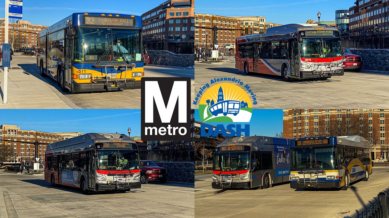 WMATA and DASH Alexandria Transit Company Bus Compilation at King Street station #2