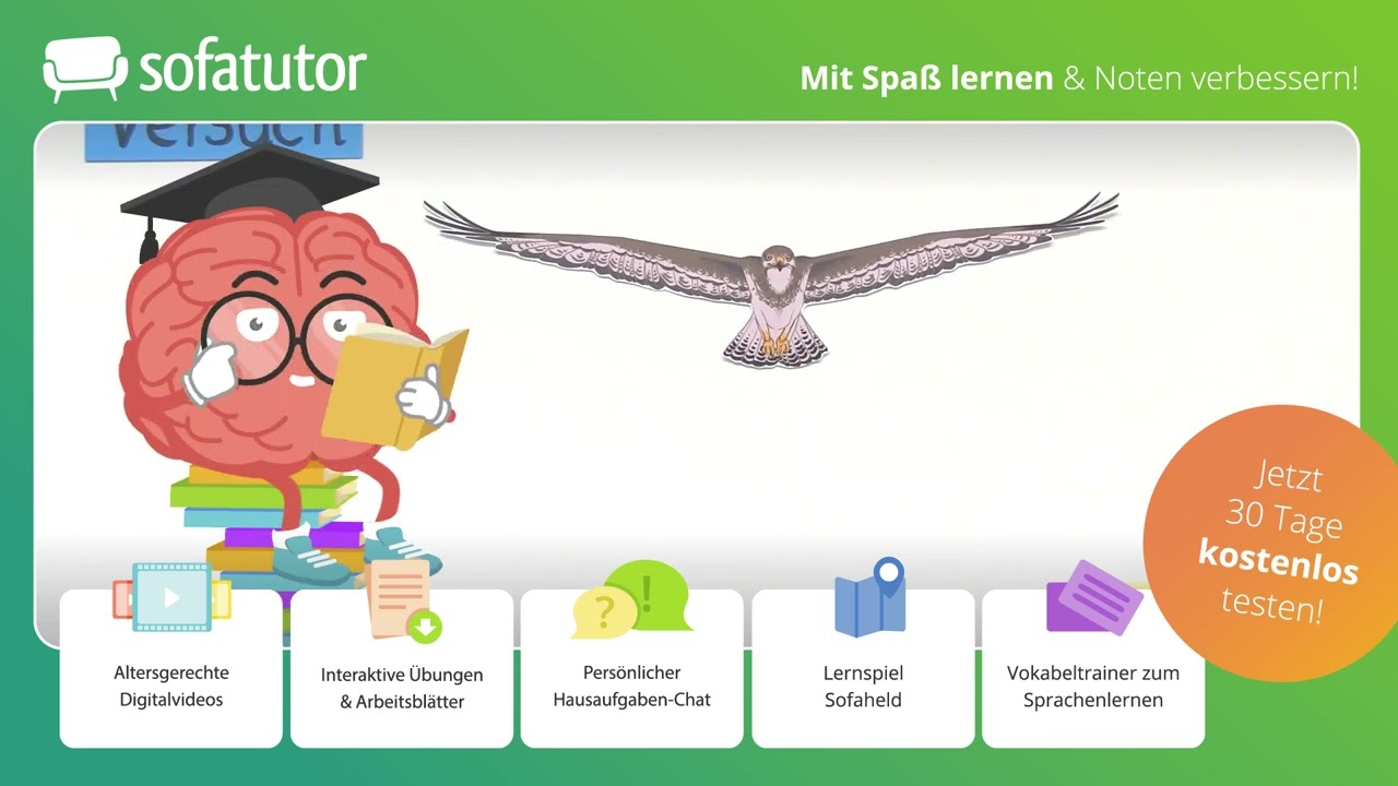Federn und Vogelflug einfach erklärt – Biologie