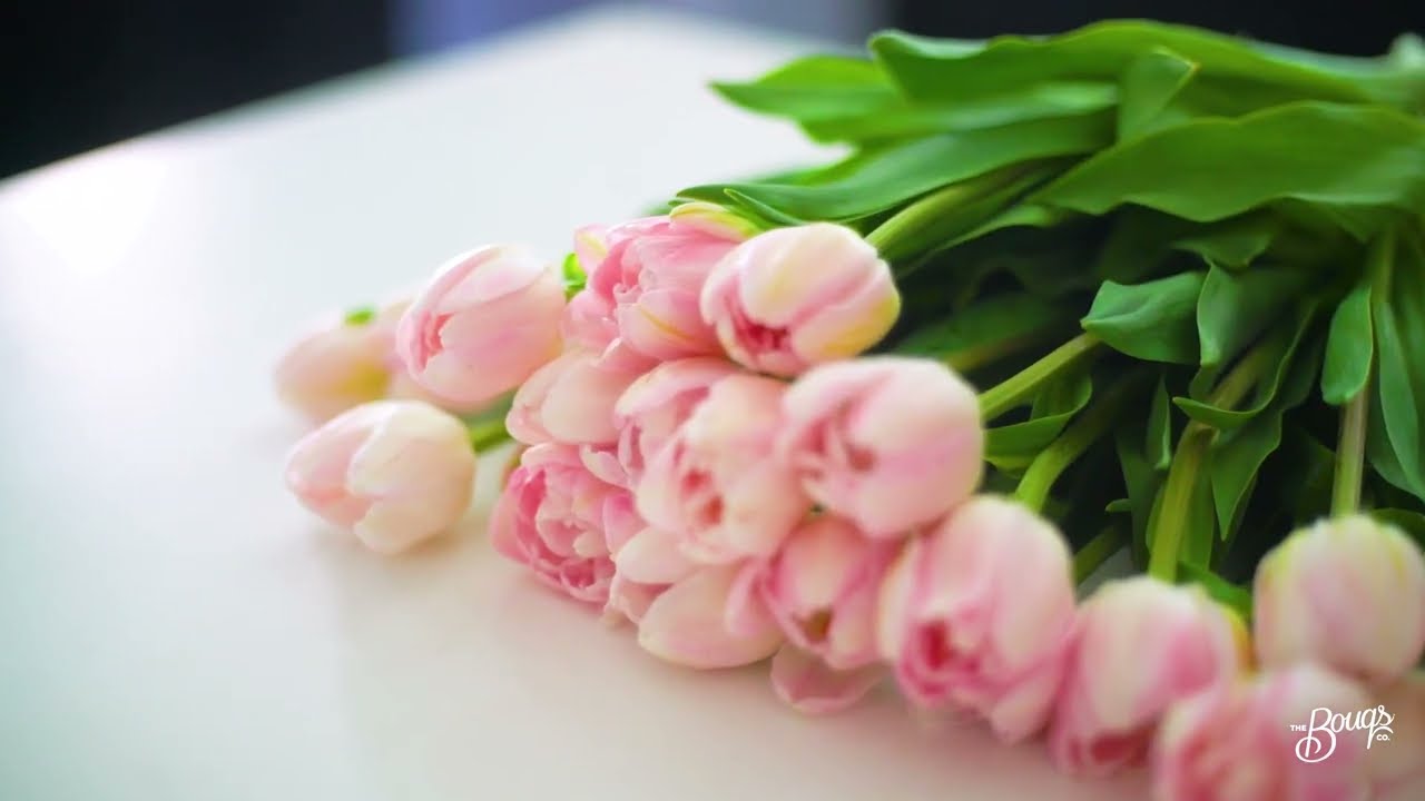 Tulip Flower Arrangement and Care Tips