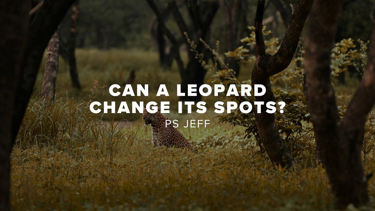 Can a Leopard Change its Spots | Jeff Frankham