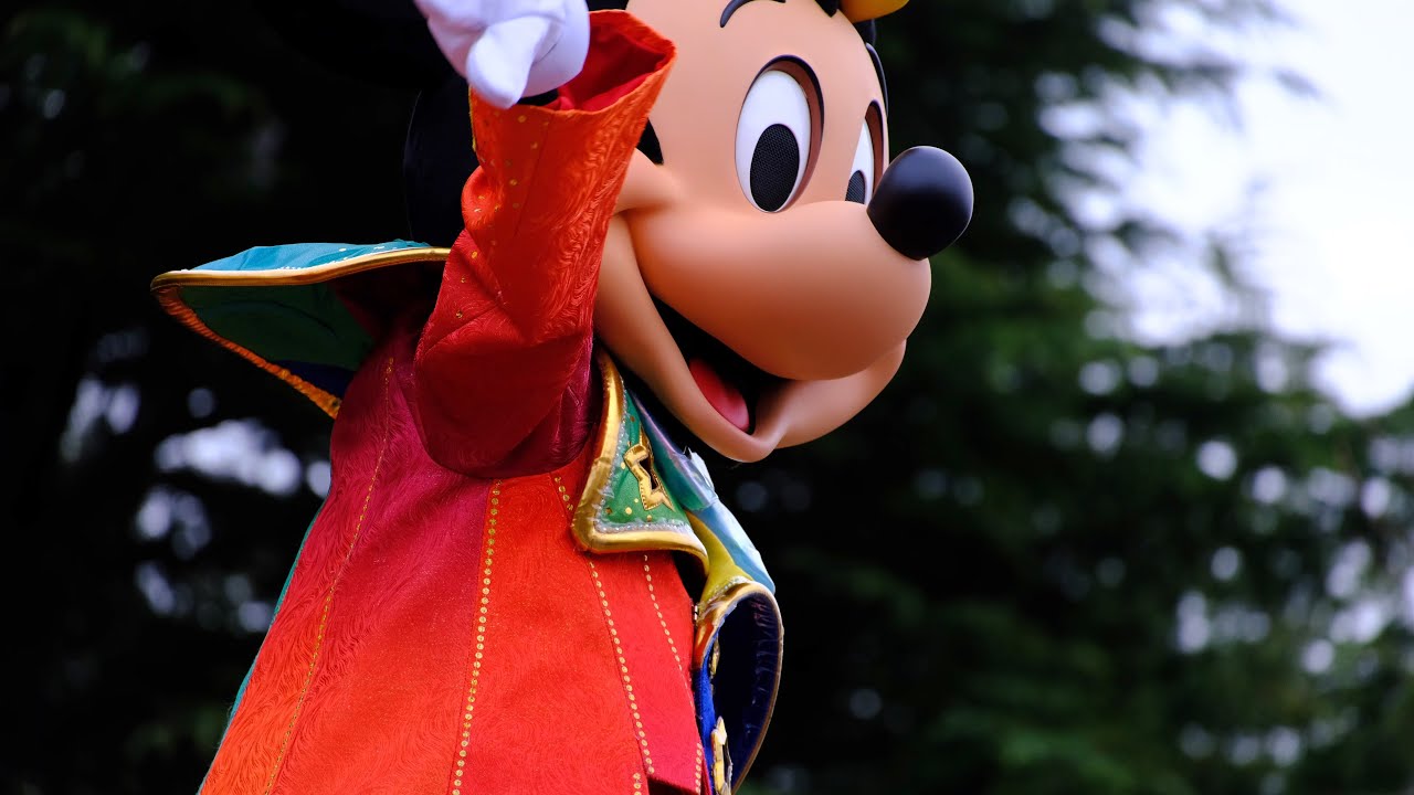 東京ディズニーランド　ハーモニーインカラー　立見