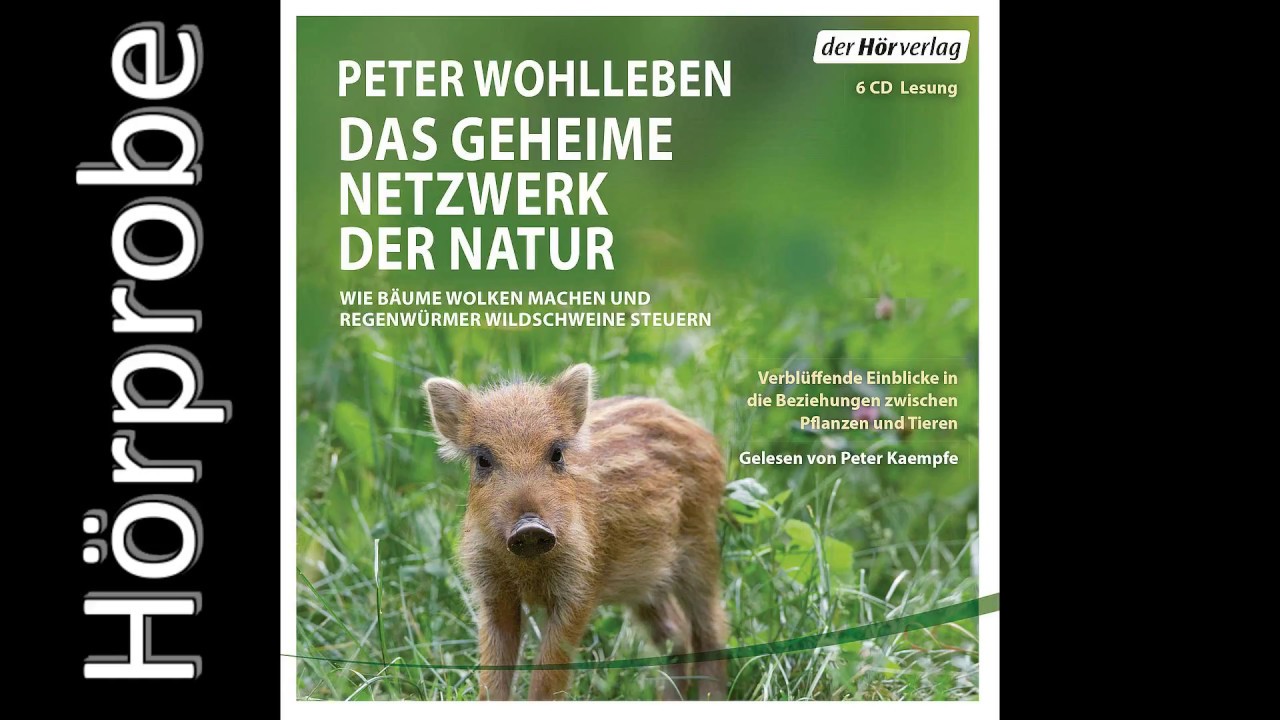 Peter Wohlleben: Das Geheime Netzwerk der Natur (H&ouml;rprobe)