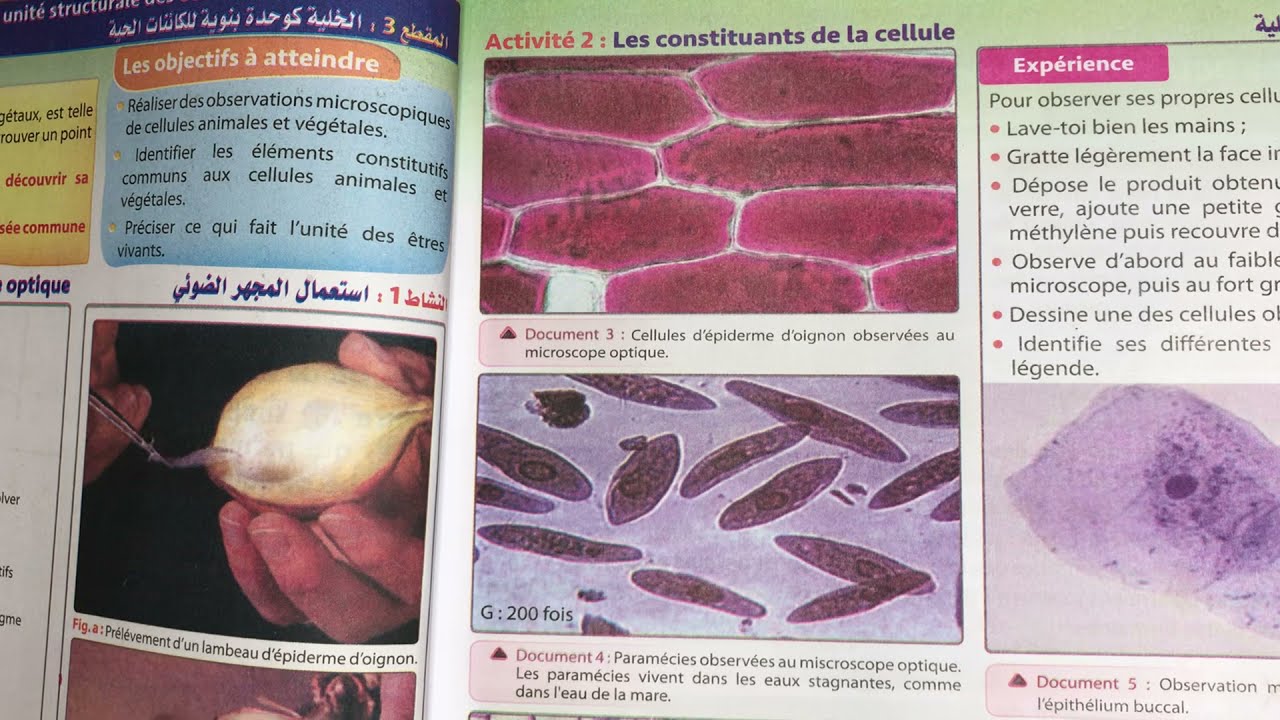 Univers+ 1 AC ch1. Séq 3 la cellule comme unité structurale des êtres vivants