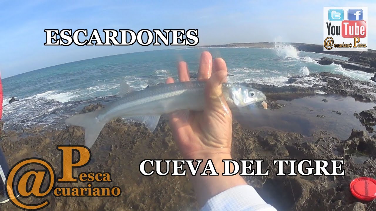 INCREIBLE PESCA DE ESCARDONES