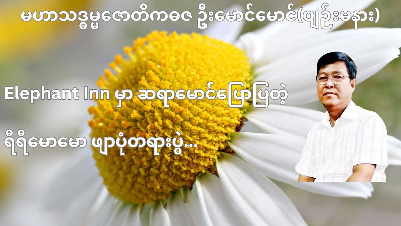 💥 Elephant Inn မှာ ဆရာမောင်ပြောပြတဲ့ ရီရီမောမော ဖျာပုံတရားပွဲ...💥