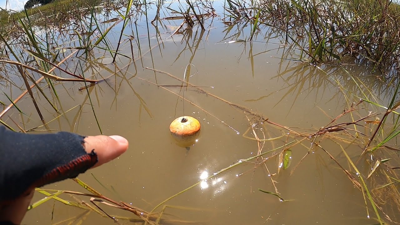 NA CHAMADINHA PEGUEI SÓ AS GRANDE,pescaria de traíra...