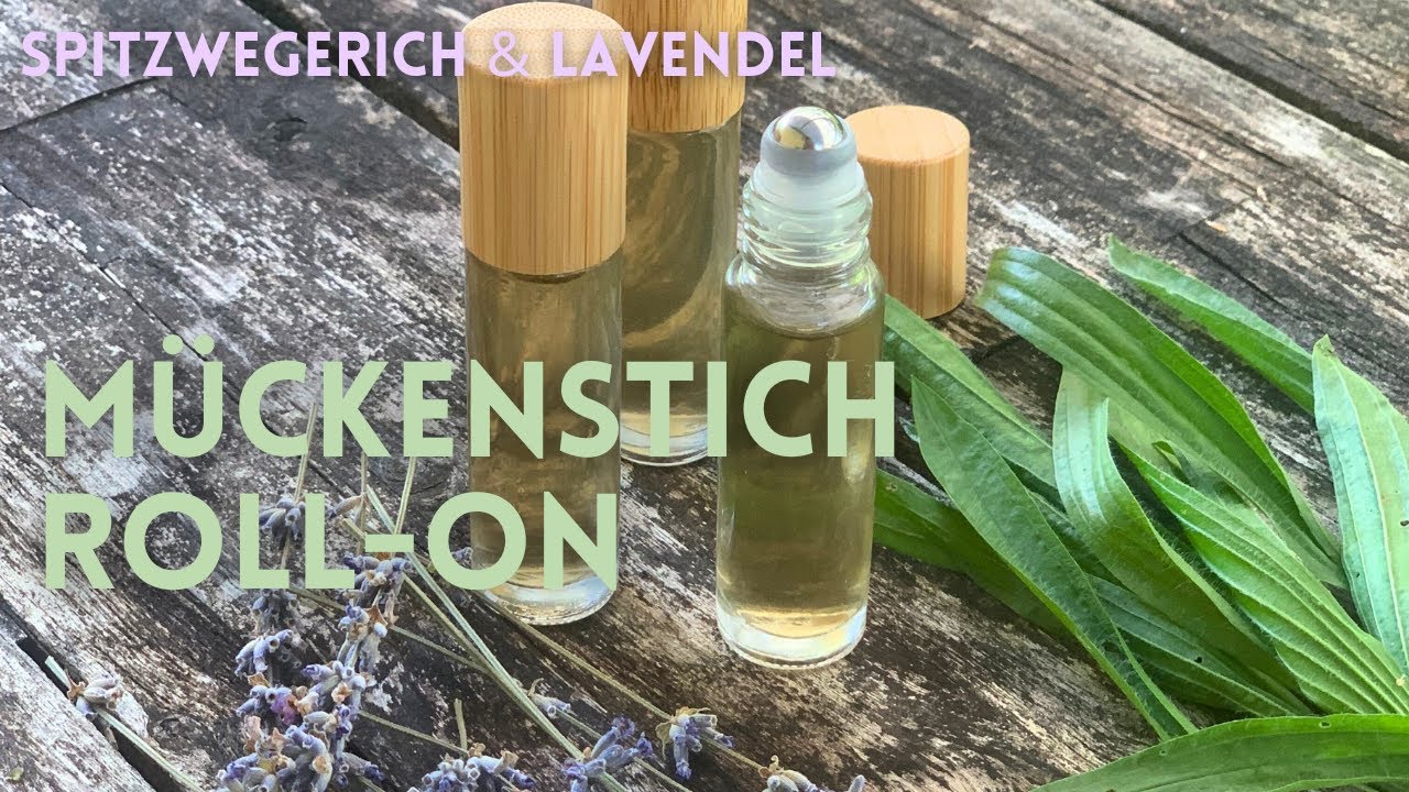 Spitzwegerich & Lavendel M&uuml;ckenstich-Roll-on selbst gemacht