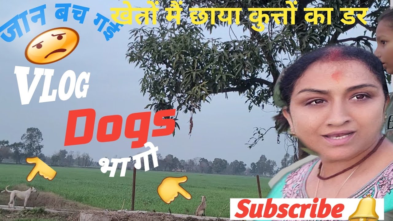 खेतों में व्लॉग बनाना पड़ा भारी जान बचाकर भागी | Village Vlog @anitakizindagi008 