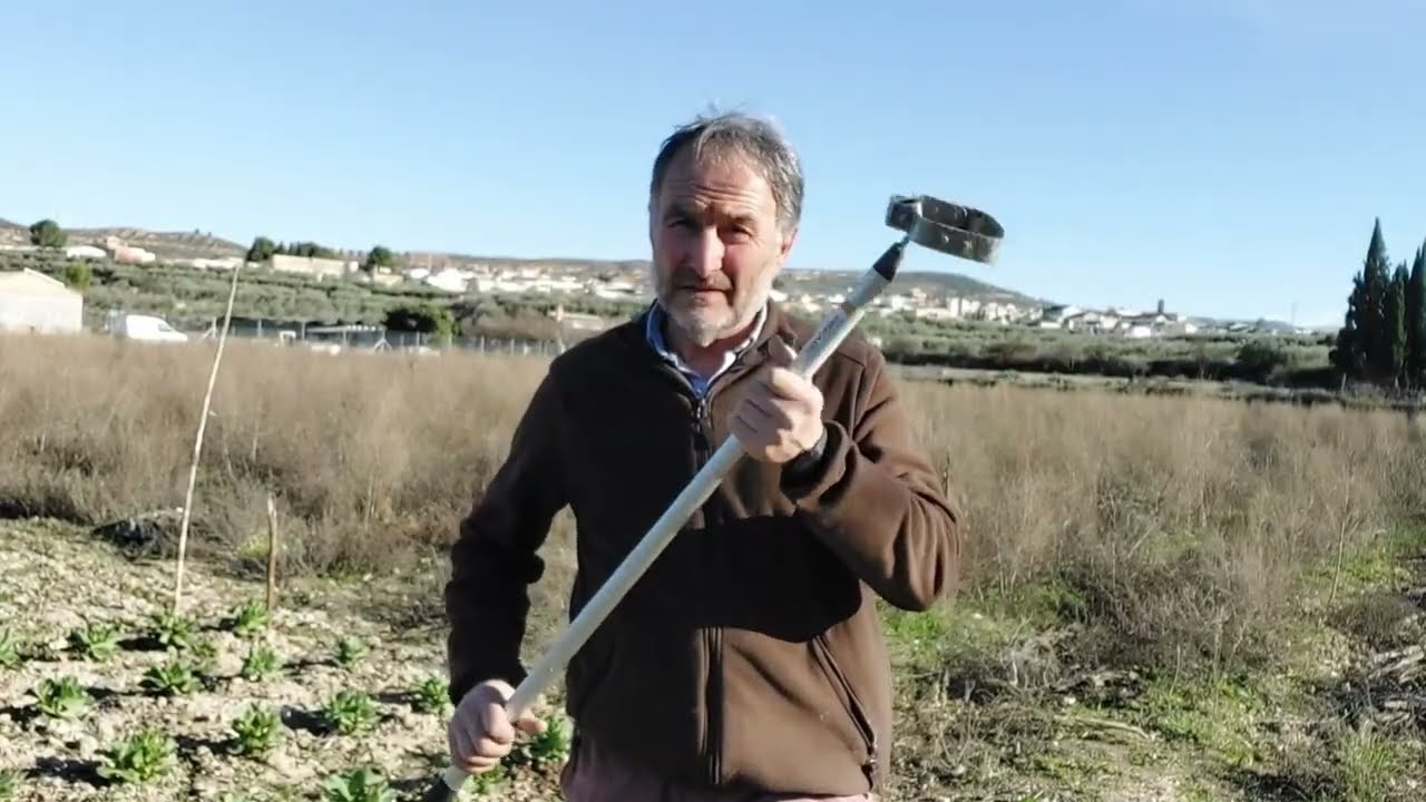 Labrar habas con azada oscilante