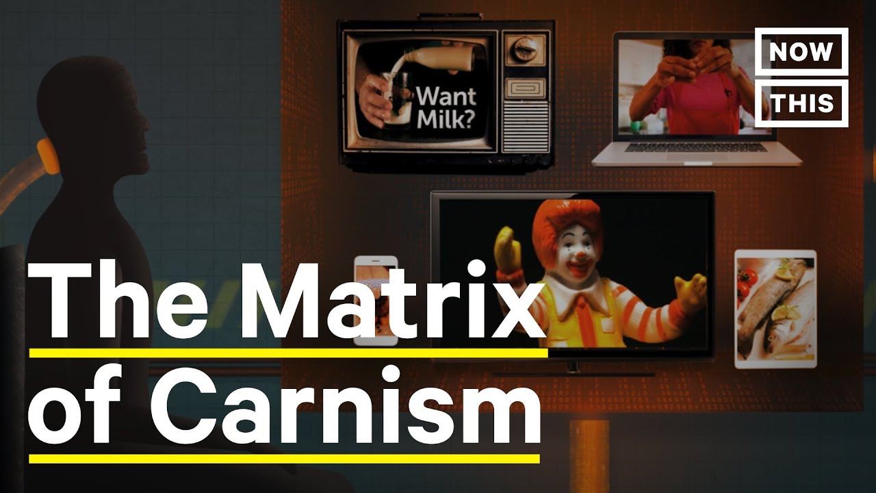 The Matrix of Carnism | NowThis