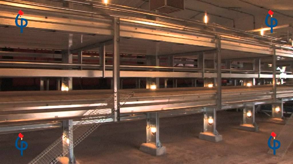 Potters Poultry - Aviary - Avinest