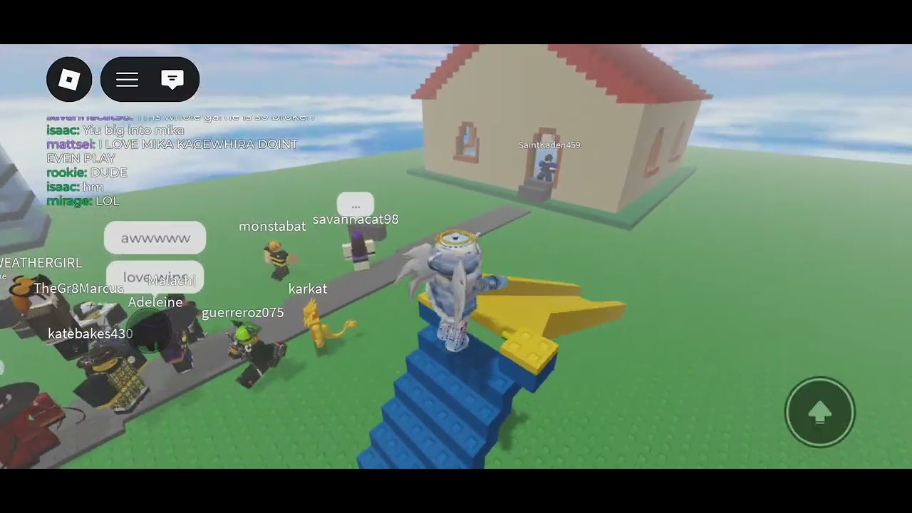 01/05/26 savannacat98, SaintKaden459, guerreroz075 and monstabat meeting pt.2 (ft. Katebakes430)