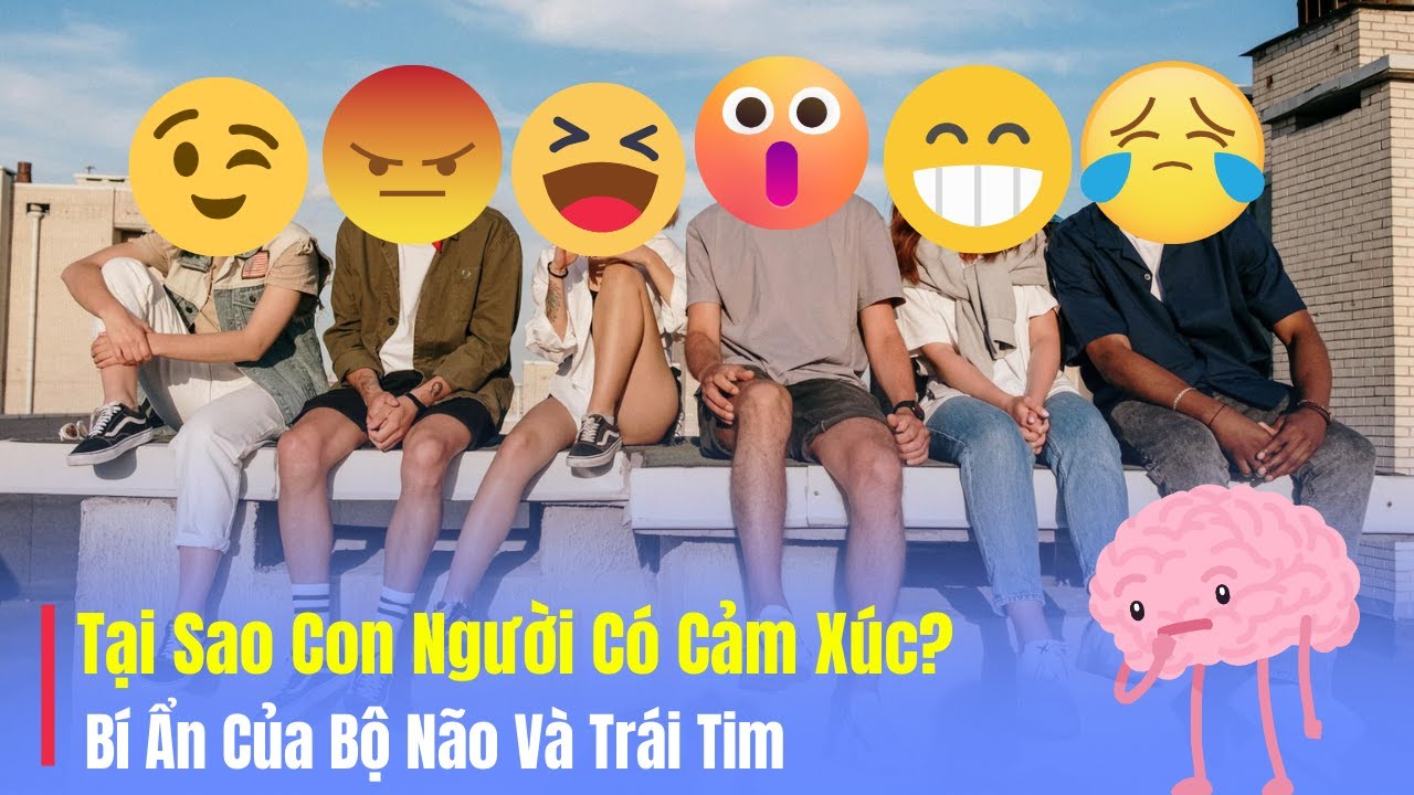 Tại Sao Con Người Có Cảm Xúc? | Bí Ẩn Của Bộ Não Và Trái Tim.