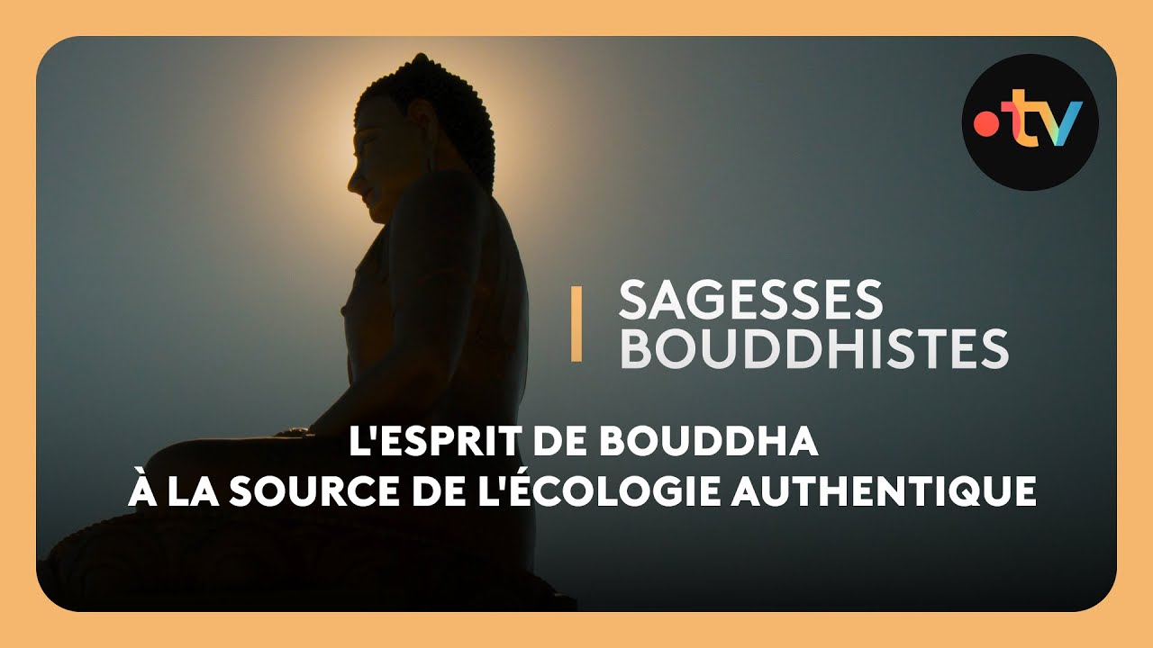 Sagesses bouddhistes : L'esprit de Bouddha à la source de l'écologie authentique