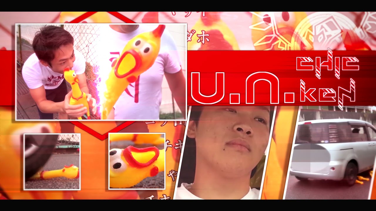 u.n.chicken