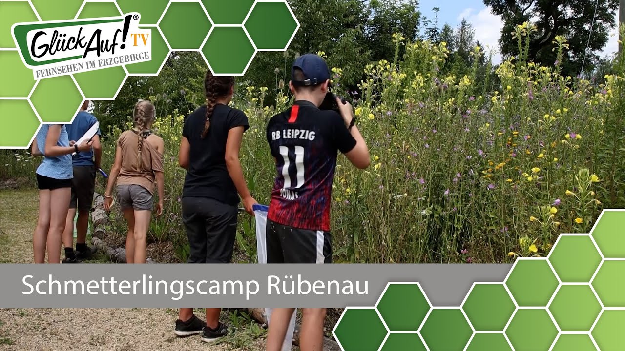 Schmetterlingscamp in Rübenau