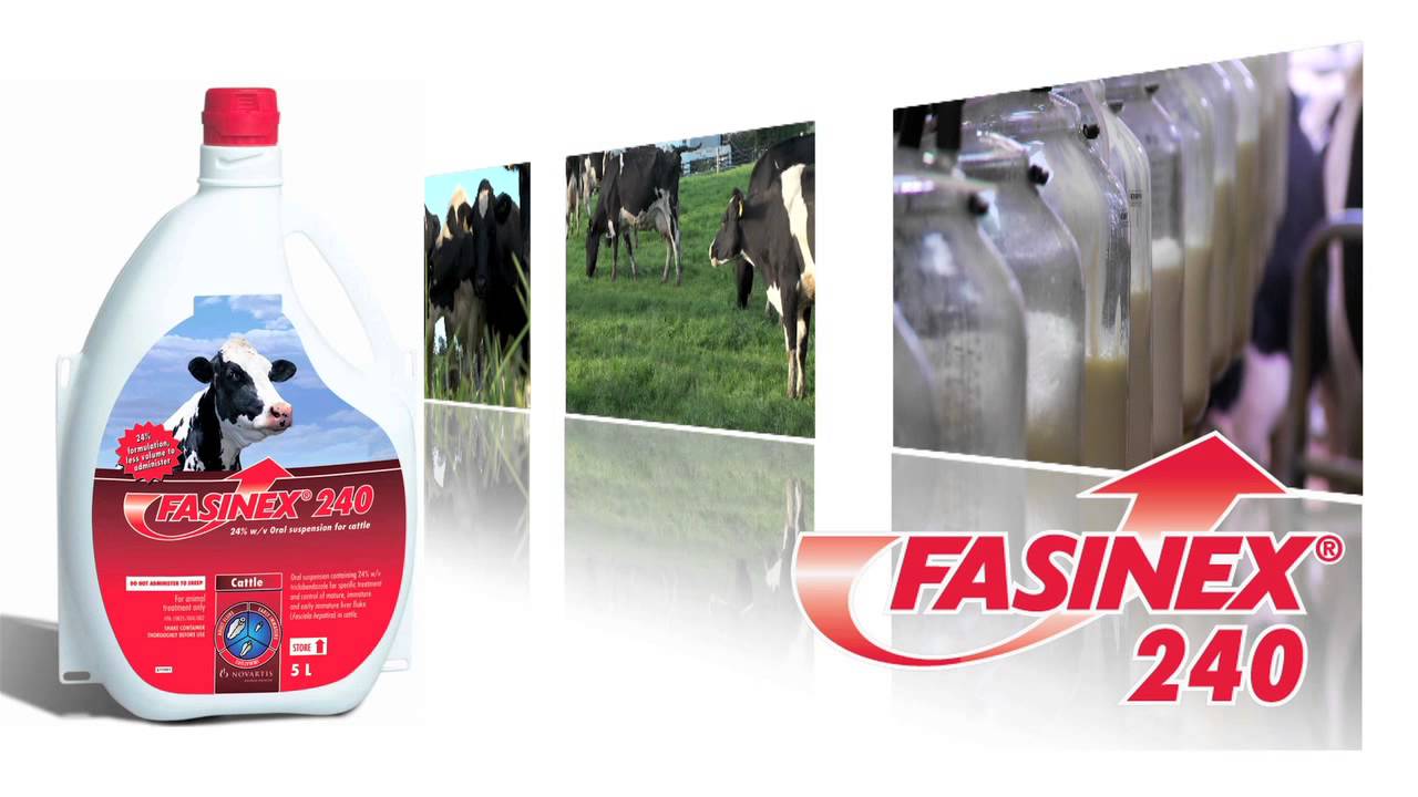 Fasinex 240 Oral Suspension