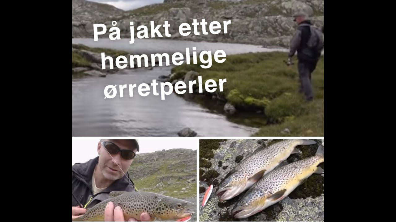 På jakt etter hemmelige ørretperler