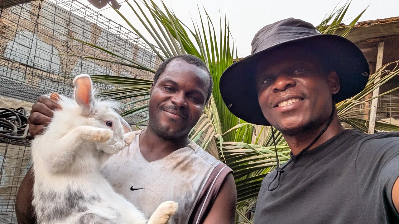 He Started small and now Sells Over 50 Rabbits Monthly | PTA Rabbit Farms