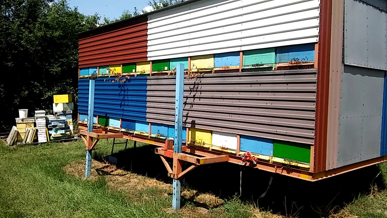Vrcanje bagremovog meda 2018